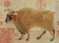 中国牛